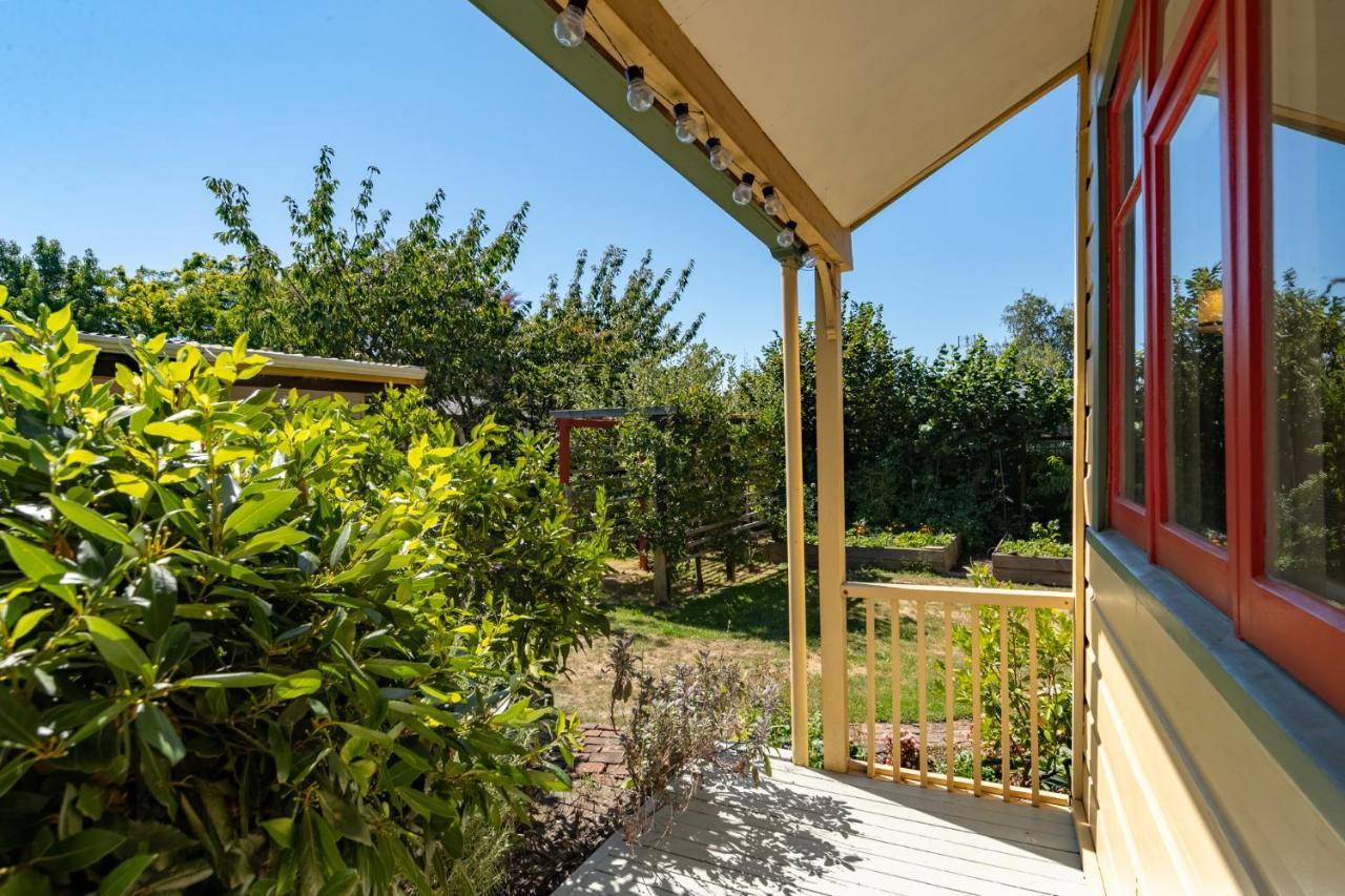 Shy Cottage And Studio Greytown Exterior foto