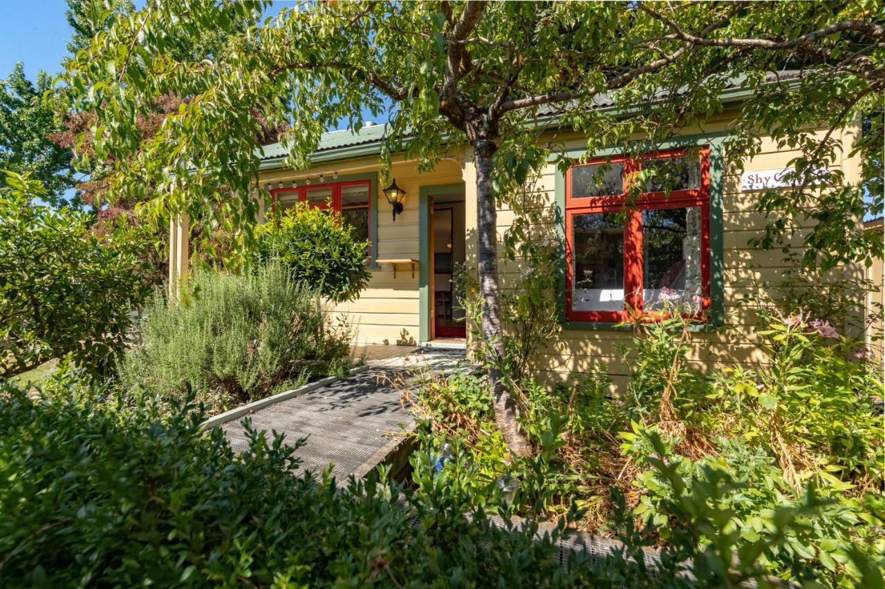 Shy Cottage And Studio Greytown Exterior foto