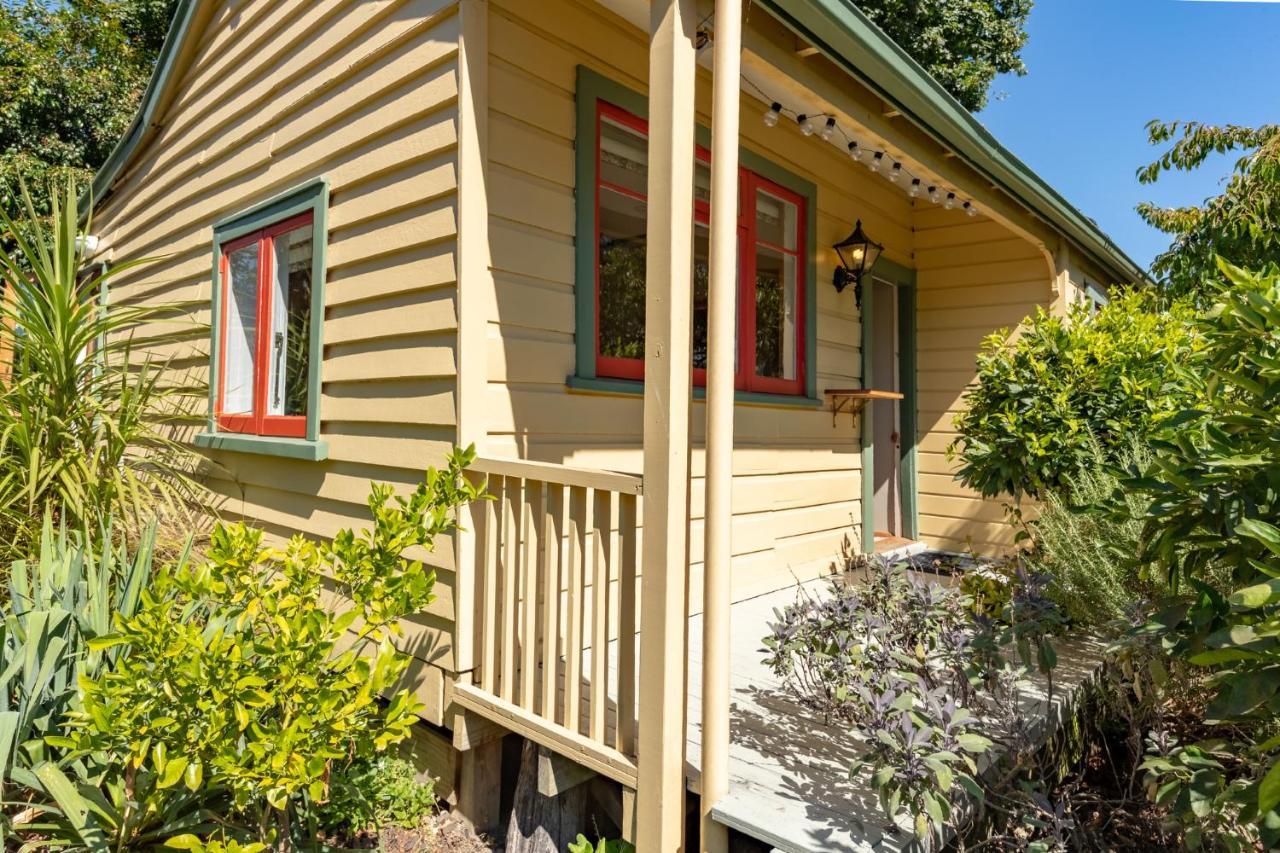 Shy Cottage And Studio Greytown Exterior foto