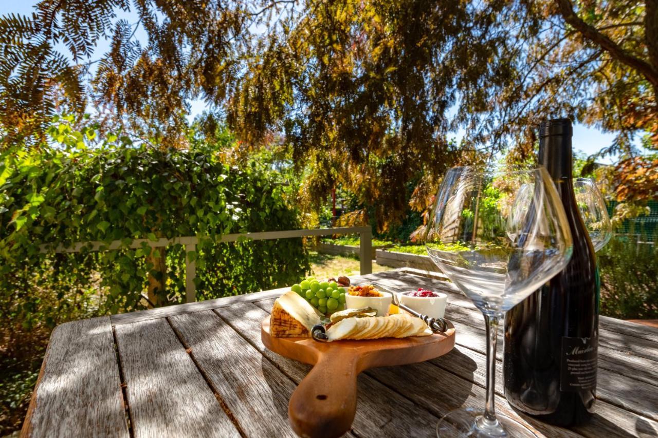 Shy Cottage And Studio Greytown Exterior foto