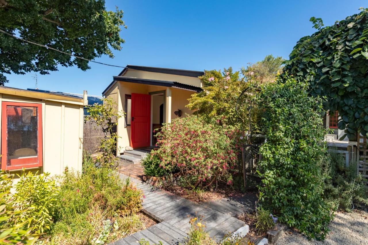 Shy Cottage And Studio Greytown Exterior foto